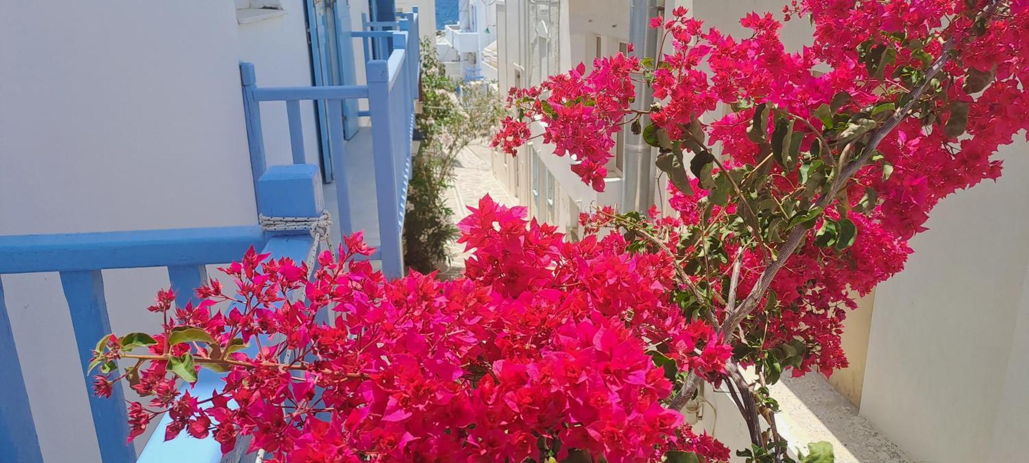 Dinas Inn Piso Livadi Dış mekan fotoğraf