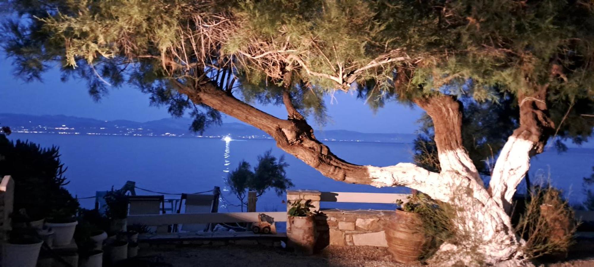 Dinas Inn Piso Livadi Dış mekan fotoğraf
