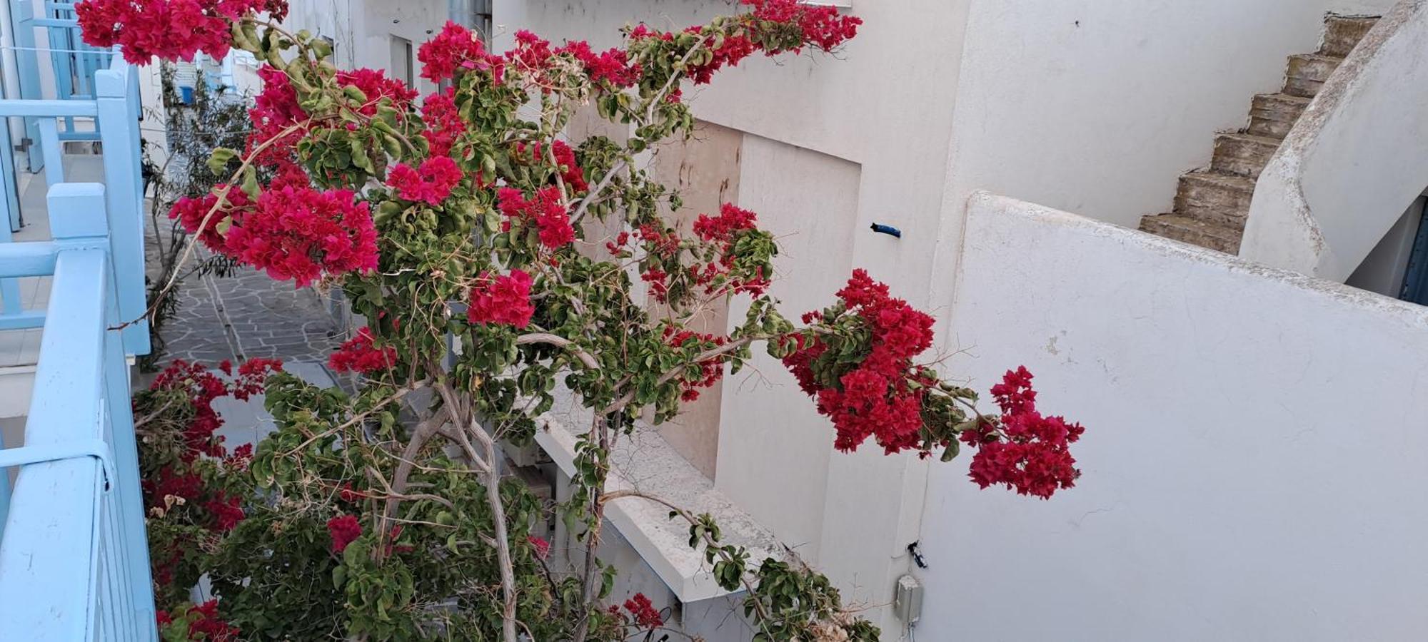 Dinas Inn Piso Livadi Dış mekan fotoğraf